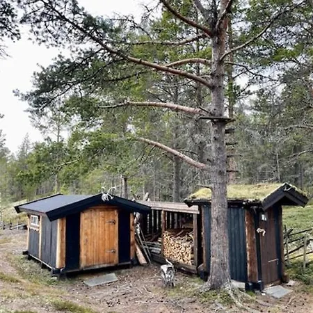Log With Views Of Rondane Mountains * Folldal