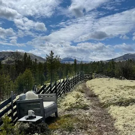 Log With Views Of Rondane Mountains *
