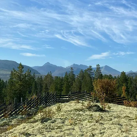 Log With Views Of Rondane Mountains Folldal