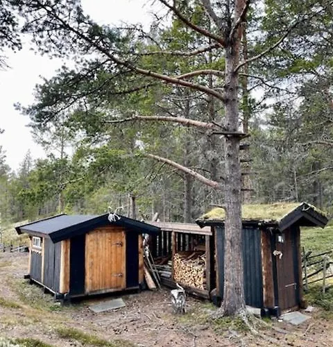 Log With Views Of Rondane Mountains * Folldal