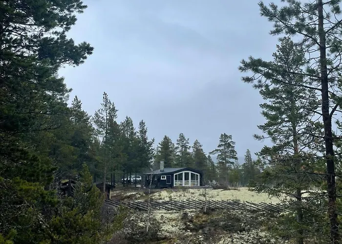 Log With Views Of Rondane Mountains *