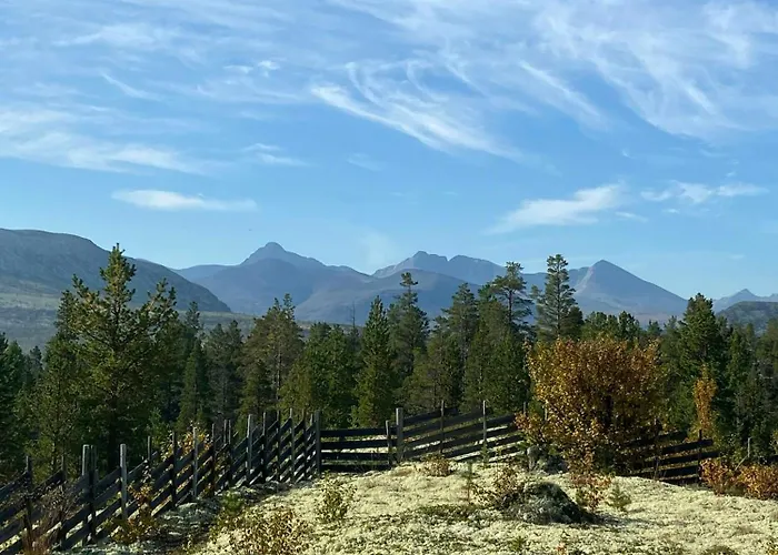 Log With Views Of Rondane Mountains Folldal