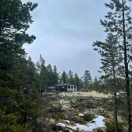 Log With Views Of Rondane Mountains *